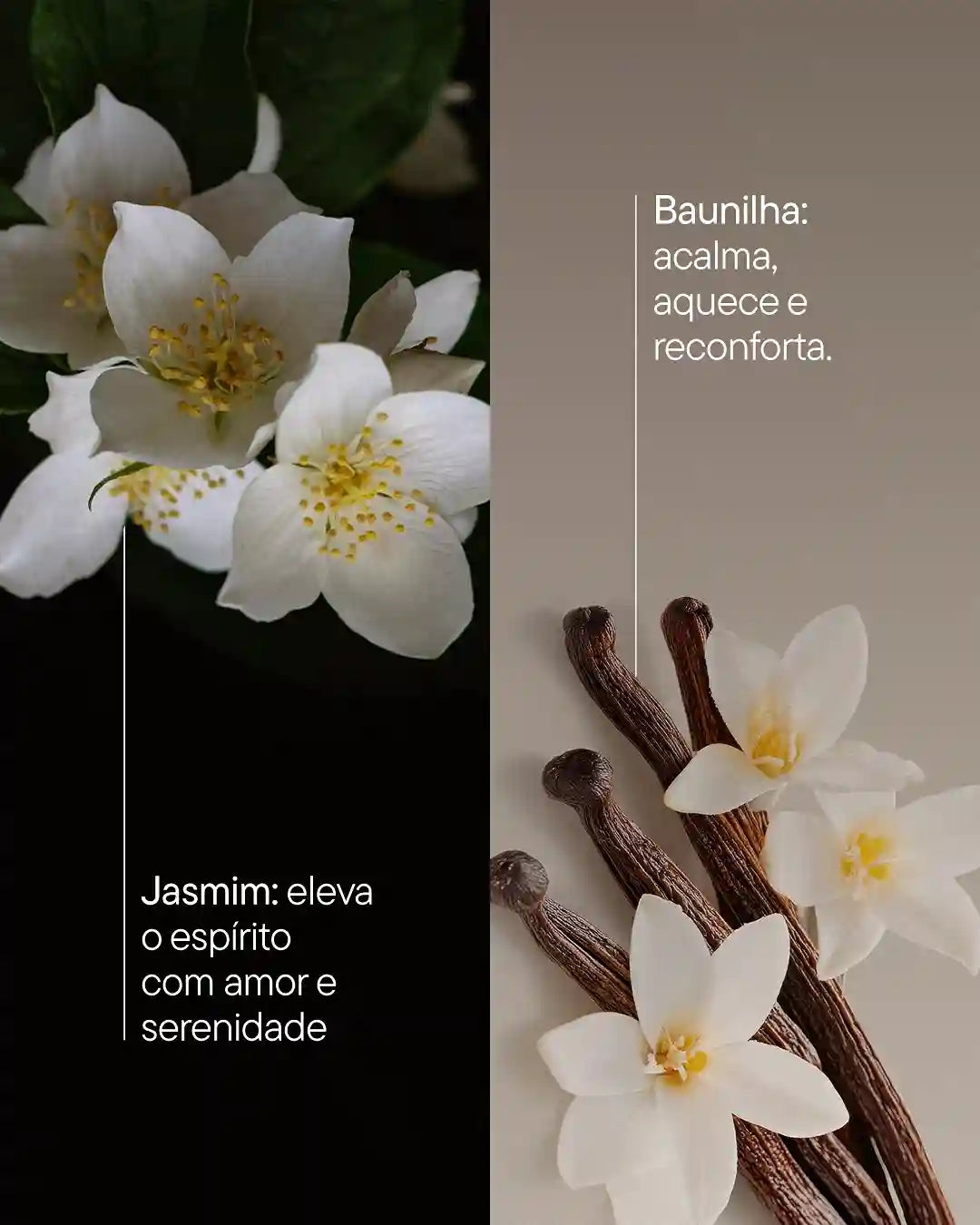 Ancorador Olfativo de Memória Rituah