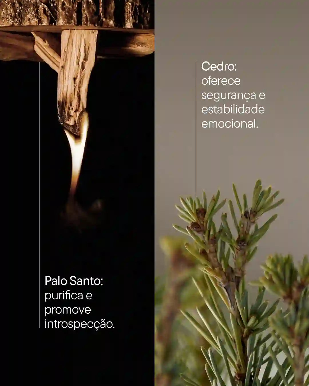 Ancorador Olfativo de Memória Rituah